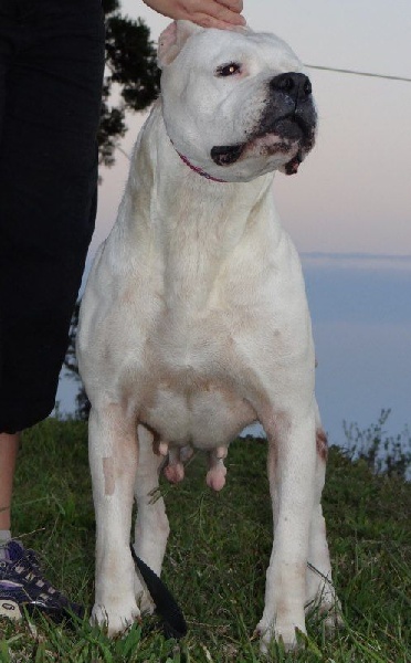Chala dite xena cerro de los condores